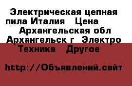 Электрическая цепная пила Италия › Цена ­ 4 000 - Архангельская обл., Архангельск г. Электро-Техника » Другое   